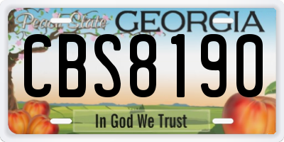 GA license plate CBS8190