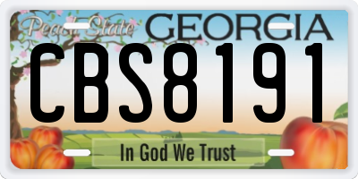 GA license plate CBS8191