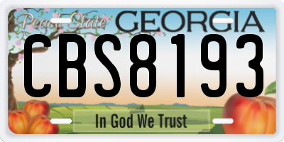 GA license plate CBS8193