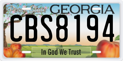 GA license plate CBS8194