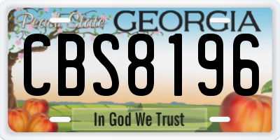 GA license plate CBS8196
