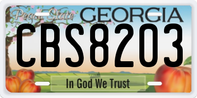 GA license plate CBS8203