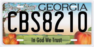 GA license plate CBS8210