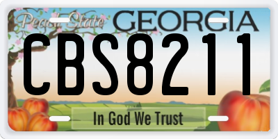 GA license plate CBS8211