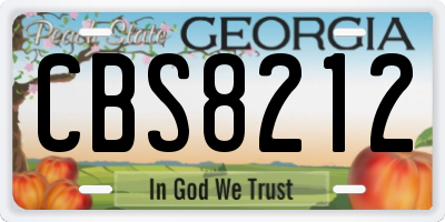 GA license plate CBS8212