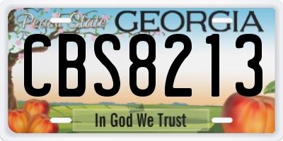 GA license plate CBS8213