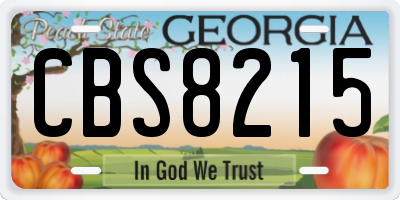 GA license plate CBS8215