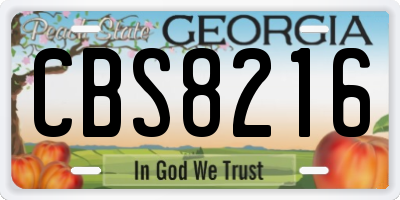 GA license plate CBS8216