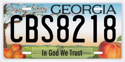 GA license plate CBS8218