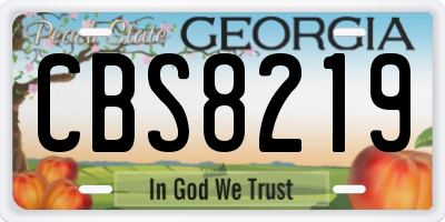 GA license plate CBS8219