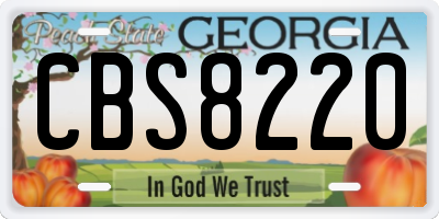 GA license plate CBS8220