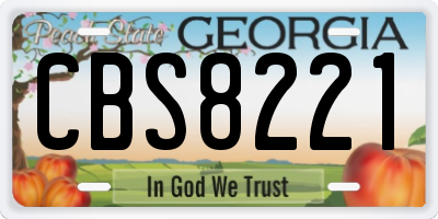GA license plate CBS8221
