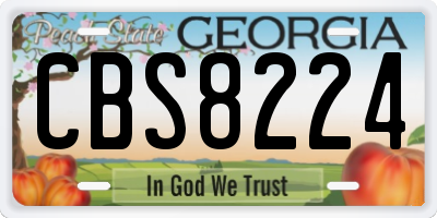 GA license plate CBS8224