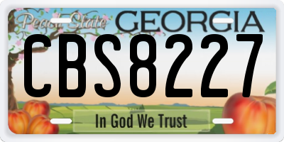 GA license plate CBS8227