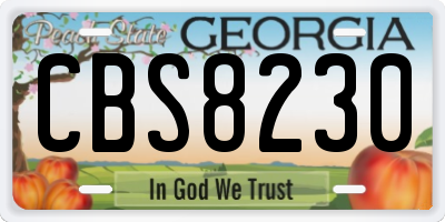 GA license plate CBS8230