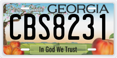 GA license plate CBS8231