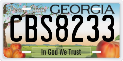 GA license plate CBS8233