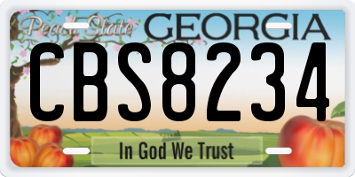 GA license plate CBS8234