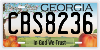 GA license plate CBS8236