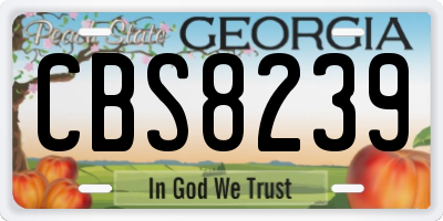 GA license plate CBS8239