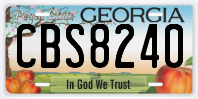 GA license plate CBS8240