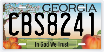 GA license plate CBS8241