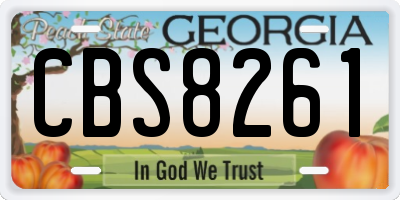 GA license plate CBS8261