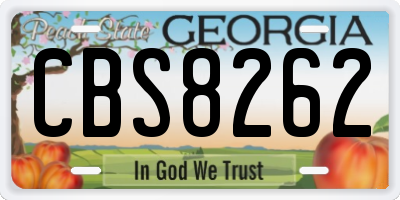 GA license plate CBS8262