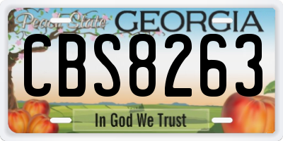 GA license plate CBS8263