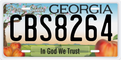GA license plate CBS8264