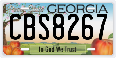 GA license plate CBS8267