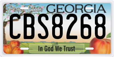GA license plate CBS8268