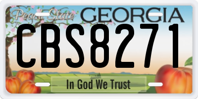 GA license plate CBS8271