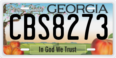 GA license plate CBS8273