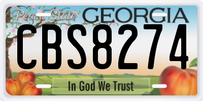 GA license plate CBS8274