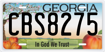 GA license plate CBS8275