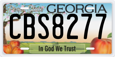 GA license plate CBS8277