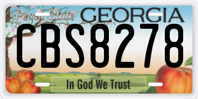 GA license plate CBS8278