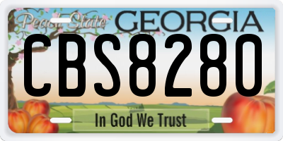 GA license plate CBS8280