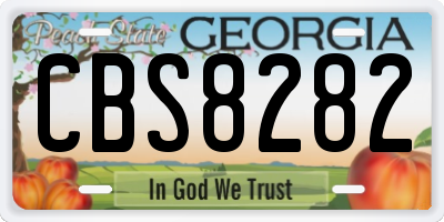 GA license plate CBS8282