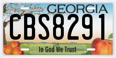 GA license plate CBS8291