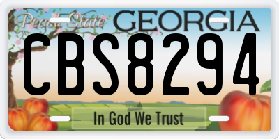 GA license plate CBS8294