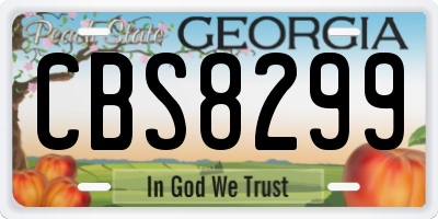 GA license plate CBS8299