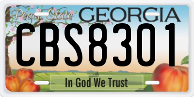 GA license plate CBS8301