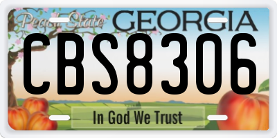GA license plate CBS8306