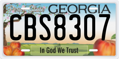 GA license plate CBS8307