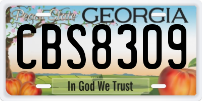 GA license plate CBS8309