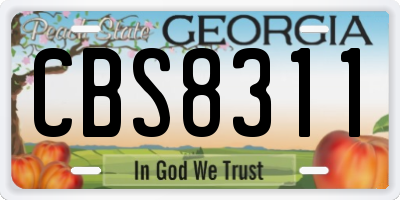 GA license plate CBS8311