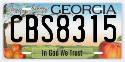 GA license plate CBS8315
