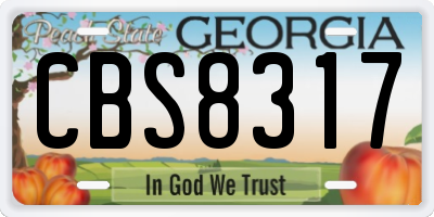 GA license plate CBS8317